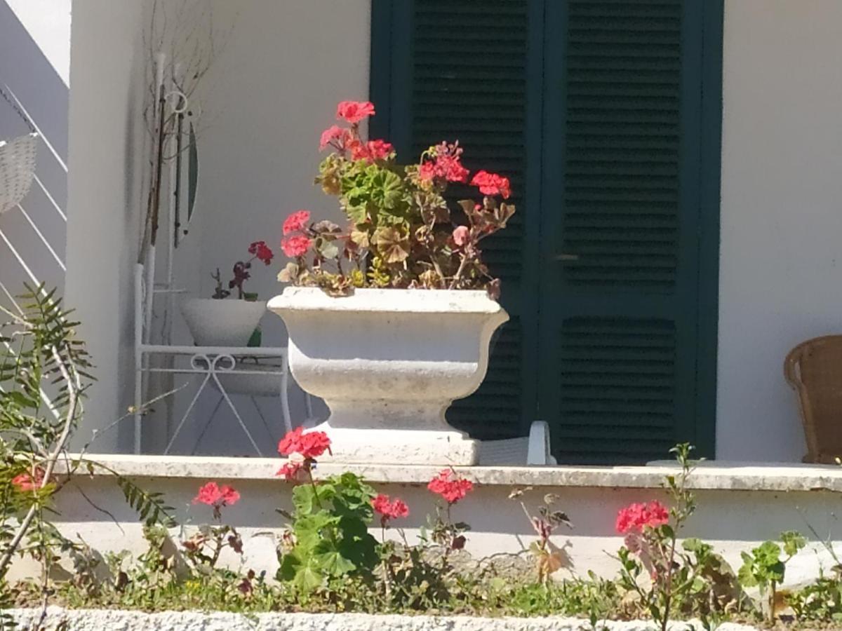 Apartament La Prima Casa Polignano a Mare Zewnętrze zdjęcie